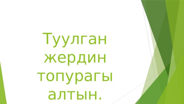 Туулган жердин топурагы алтын.