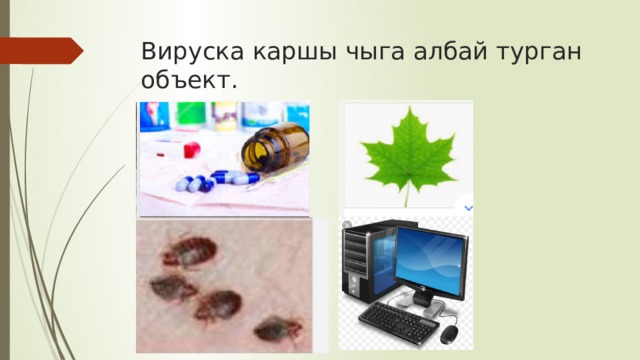 Вируска каршы чыга албай турган объект. 