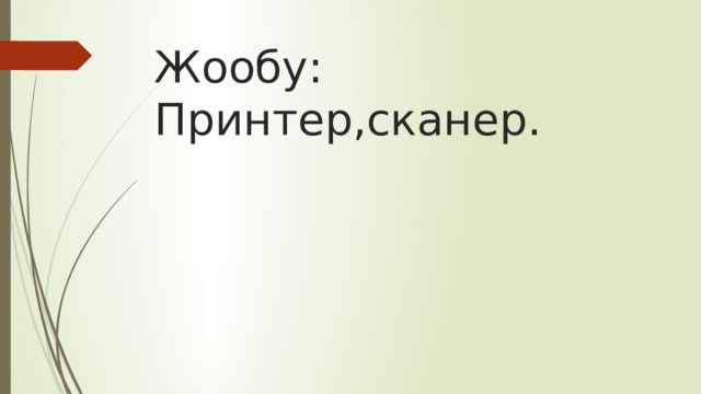 Жообу:  Принтер,сканер. 