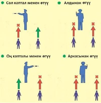 Жолдо кж кыргызча тест 2024
