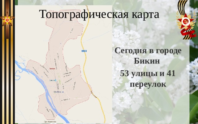 Топографическая карта Сегодня в городе Бикин 53 улицы и 41 переулок 