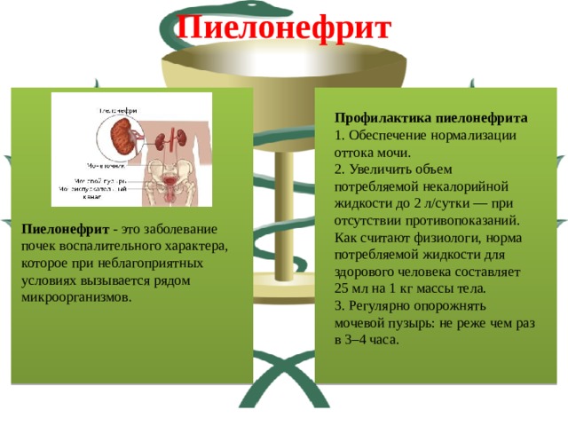 Презентация заболевание мочевыделительной системы у детей