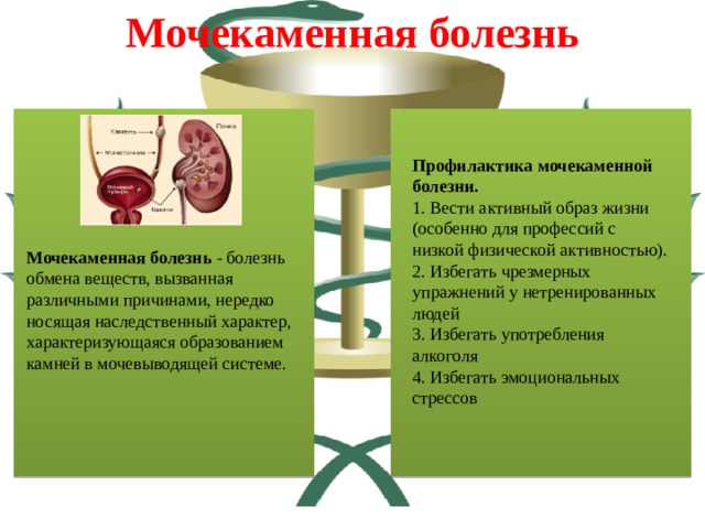 Патология мочевыделительной системы презентация