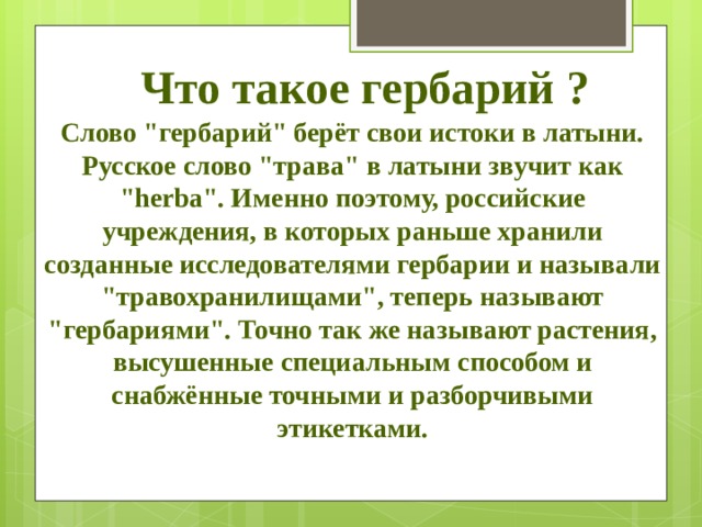 Слово гербарий. Гербарий слово. Гербарий словарное слово. Что означает слово гербарий. Откуда заимствовано слово гербарий.