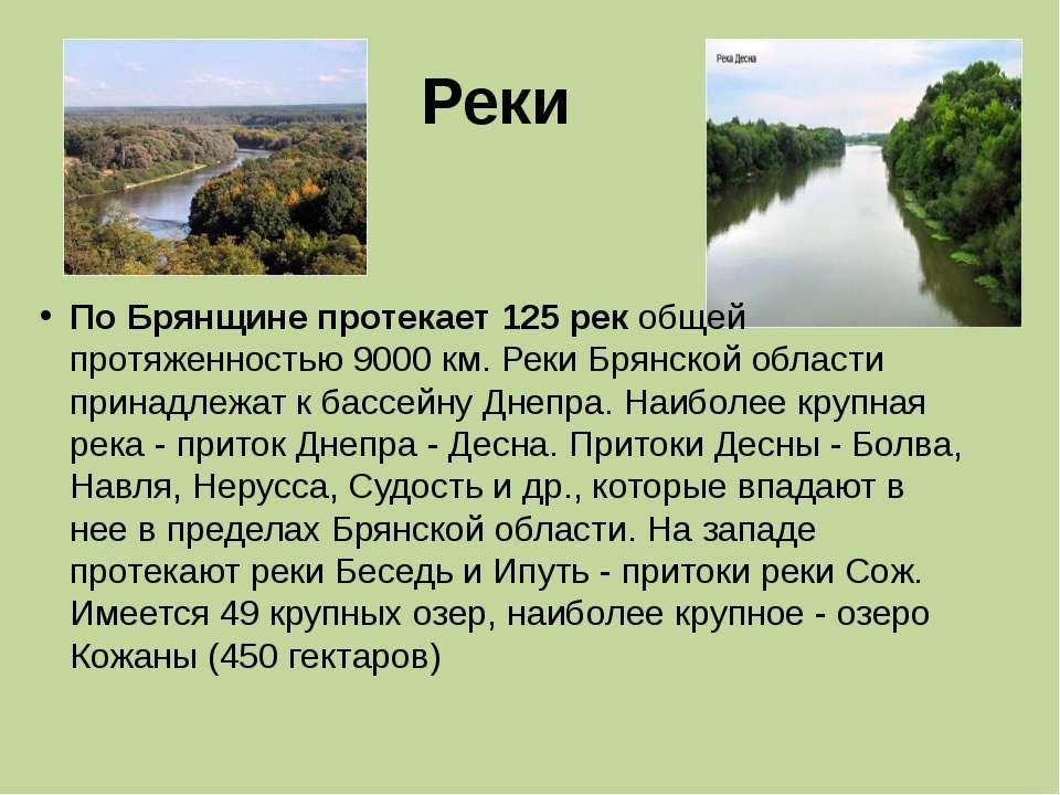 Проект река мира