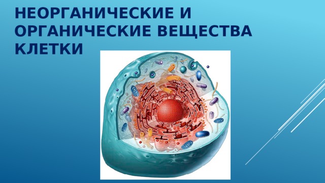 Основное строительное вещество клетки. Неорганические вещества клетки. Органические и неорганические стекла..