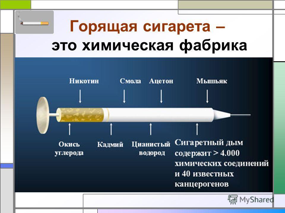 Когда человек сам себе враг обж 9 класс презентация