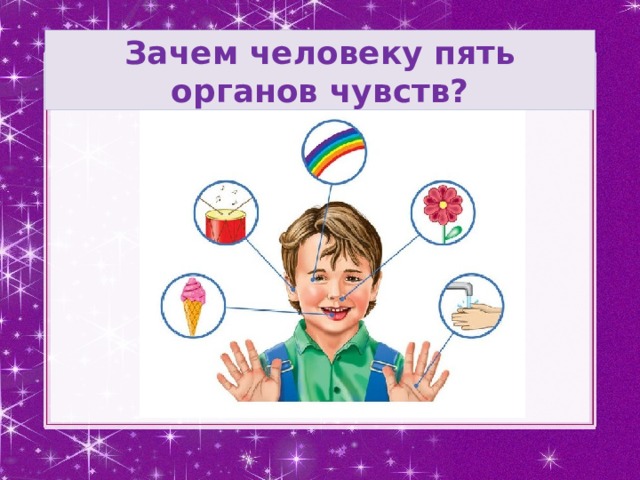 5 чувств человека книга. Зачем человеку пять органов чувств. Пять органов чувств у человека. 5 Органов чувств человека. 5 Органов чувств подарок.