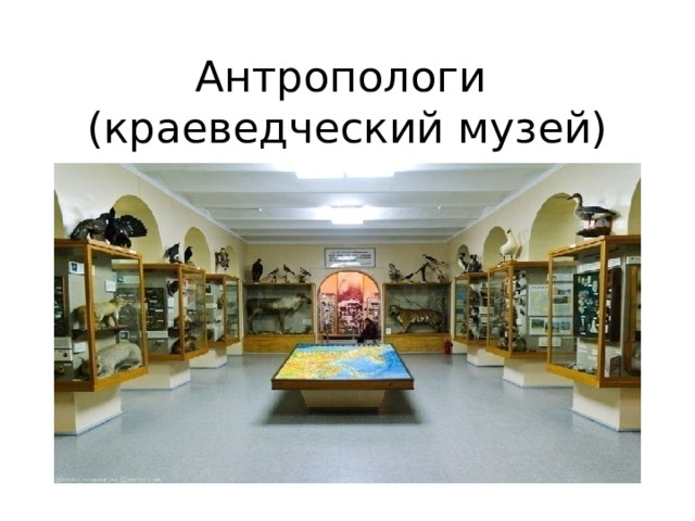 Антропологи  (краеведческий музей)