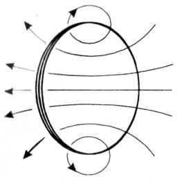 Круговой ток рисунок. Силовые линии кольца. Силовые линии тонкого кольца. По направлению магнитных силовых линий изображенных на рисунке. По направлению силовых линий определите направление кругового тока.