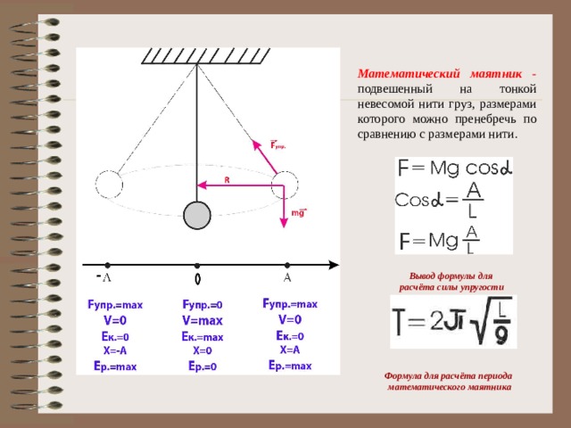 Математический маятник - подвешенный на тонкой невесомой нити груз, размерами которого можно пренебречь по сравнению с размерами нити. Вывод формулы для расчёта силы упругости  Формула для расчёта периода математического маятника  