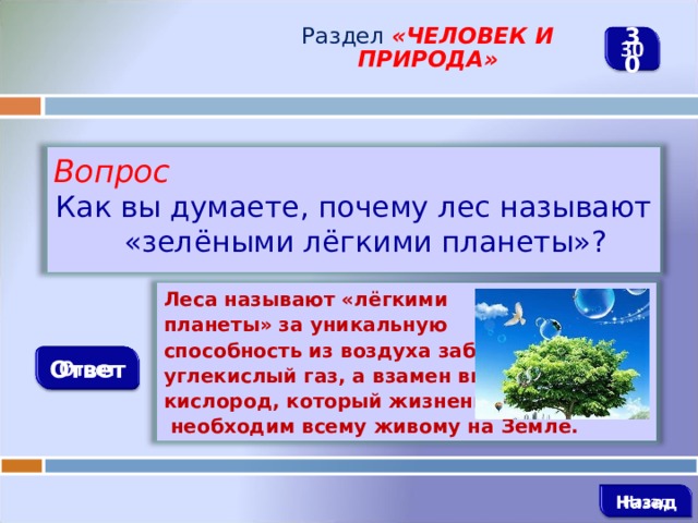 Почему легкие назвали легкими. Почему леса называют лёгкими планеты. Почему леса называют лёгкими нашей планеты. Почему растения называют «лёгкими планеты»?. Почему лес называют легкими планеты.