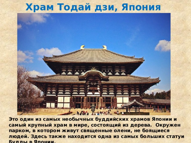 Храм Тодай дзи, Япония   Это один из самых необычных буддийских храмов Японии и самый крупный храм в мире, состоящий из дерева.  Окружен парком, в котором живут священные олени, не боящиеся людей. Здесь также находится одна из самых больших статуи Будды в Японии. 