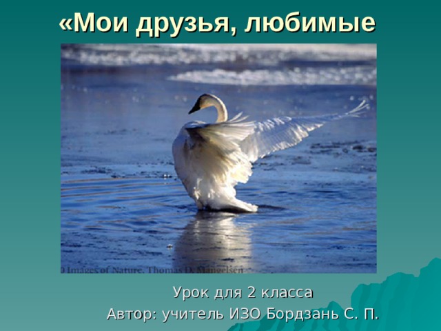  «Мои друзья, любимые птицы»   Урок для 2 класса Автор: учитель ИЗО Бордзань С. П. 