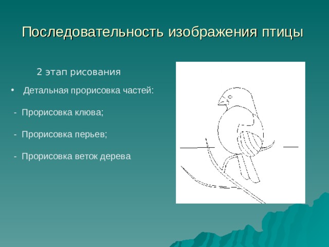 Изображение и реальность изо 2 класс. Наши друзья птицы 2 класс изо презентация. Последовательность изображенных птиц. Наши друзья птицы изображение и реальность. Наши друзья птицы изо 2 класс.