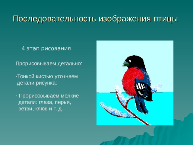 Последовательность изображения птицы 4 этап рисования Прорисовываем детально: Тонкой кистью уточняем  детали рисунка:  Прорисовываем мелкие  детали: глаза, перья,  ветви, клюв и т. д. 