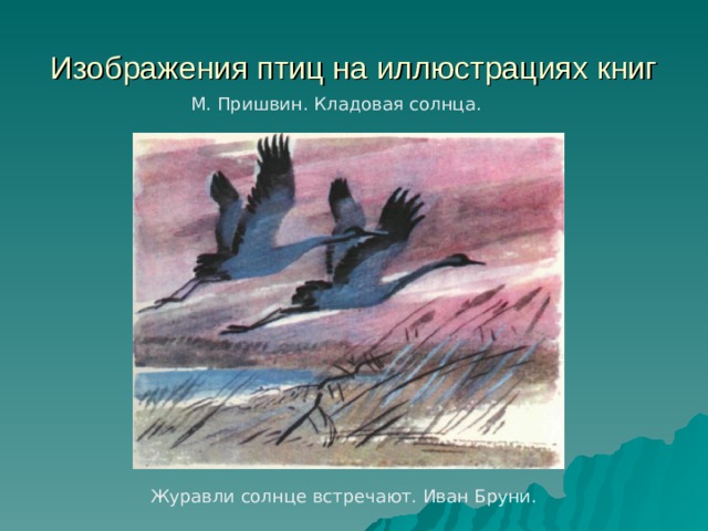 Изображения птиц на иллюстрациях книг М. Пришвин. Кладовая солнца. Журавли солнце встречают. Иван Бруни. 