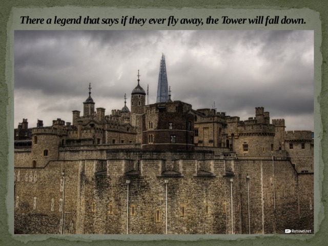 There a legend that says if they ever fly away, the Tower will fall down. 