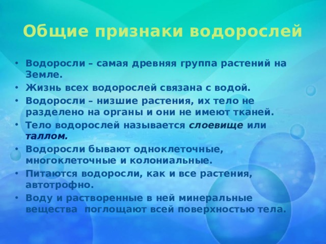 Основные признаки водорослей