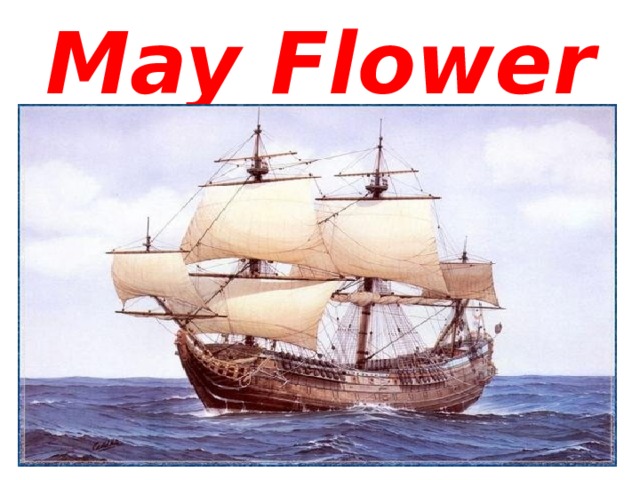 May Flower 