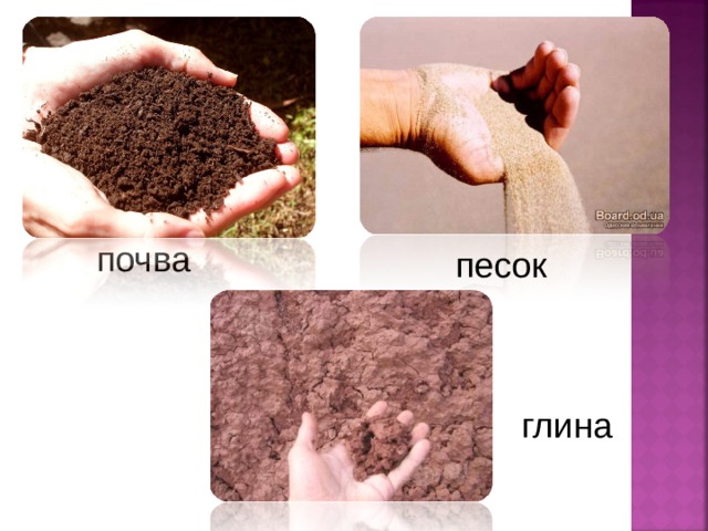 почва песок глина 