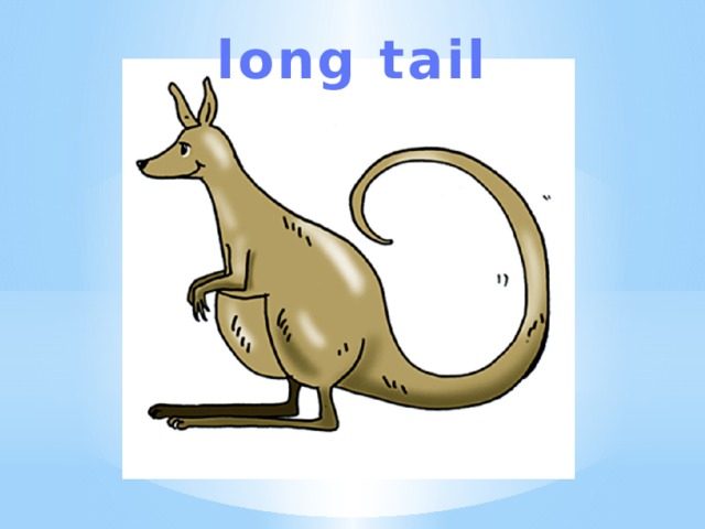 1 cows long tails