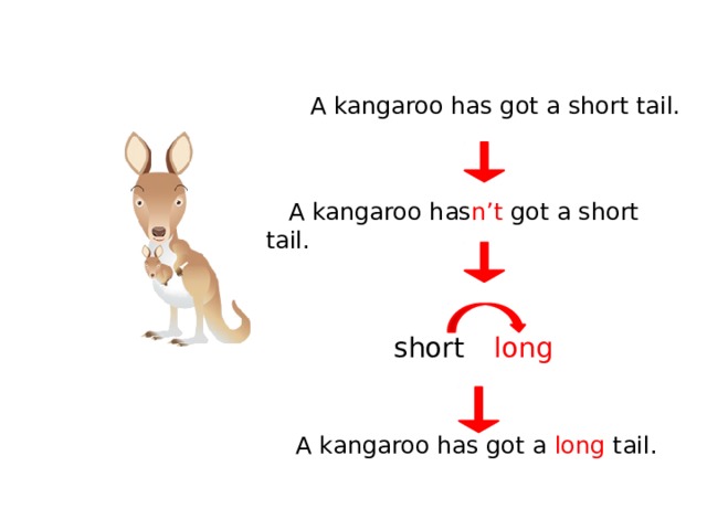 Short tail. Cows have got или has got long Tails. Kangaroos have got short Tails. Kangaroo have got short. Cows has got long Tails или have.