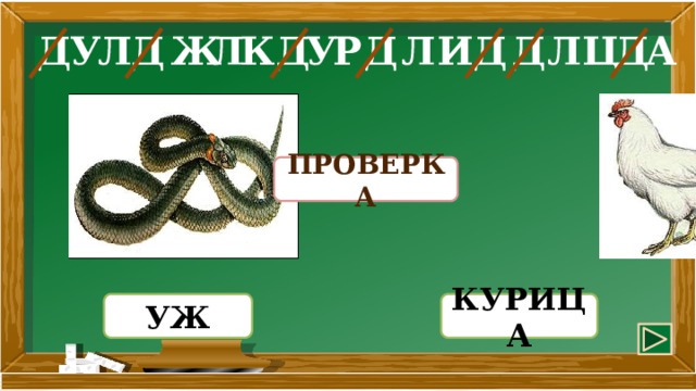 Ж К Д У У Д Л Д Л Д Л Д Ц Д А Р И Л Д ПРОВЕРКА УЖ КУРИЦА
