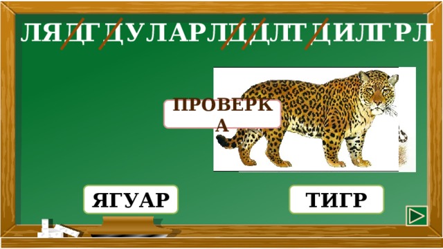 Д Д Р У Д Л Г Л Г Р А Д Л И Л Д Я Л Л Т ПРОВЕРКА ТИГР ЯГУАР