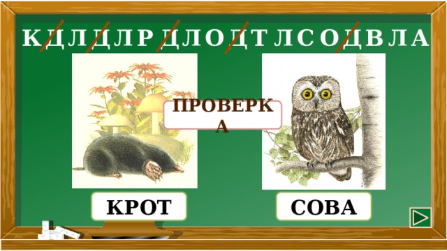 Д Т Л В Д Л А С Р К Д Л Л Д О Д Л О ПРОВЕРКА КРОТ СОВА