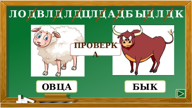 Д Д Д Д Л В Л К Ы Б Л Л Д О Д Ц А Д Л ПРОВЕРКА БЫК ОВЦА