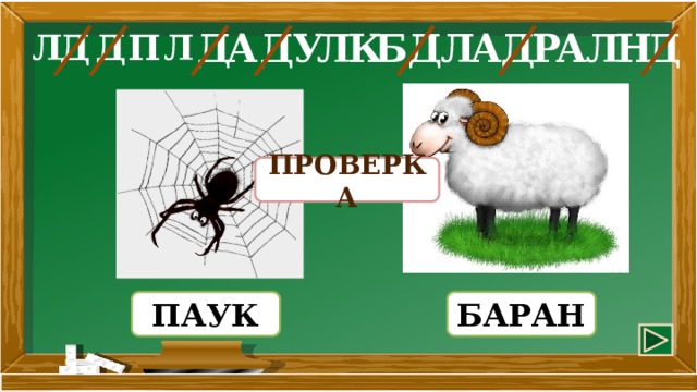 П Р Д Д Л Л Д Д Н У Д Л А Д А А Д Л Л Б К ПРОВЕРКА БАРАН ПАУК