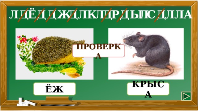 Д А Д Д Л Д Л Р Ы Ё Д Л Ж Л Д К Д Л С Л ПРОВЕРКА ЁЖ КРЫСА