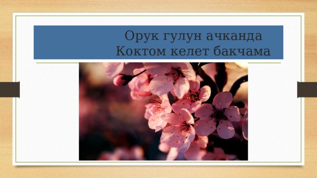  Орук гулун ачканда  Коктом келет бакчама 