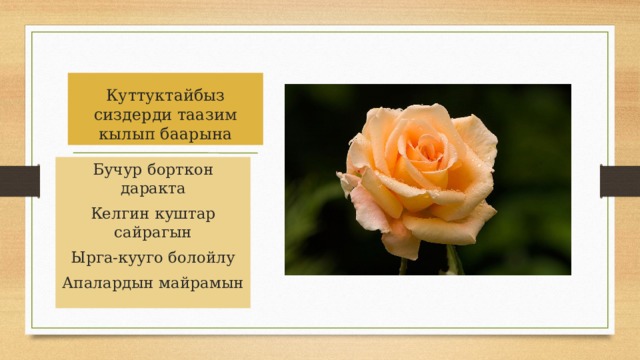 Куттуктайбыз сиздерди таазим кылып баарына Бучур борткон даракта Келгин куштар сайрагын Ырга-кууго болойлу Апалардын майрамын 