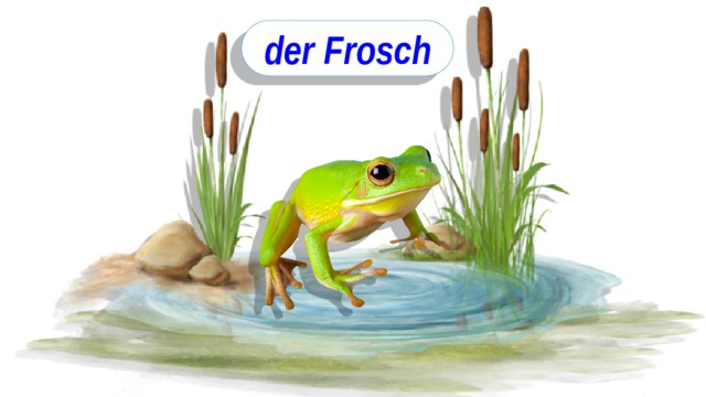 der Frosch 