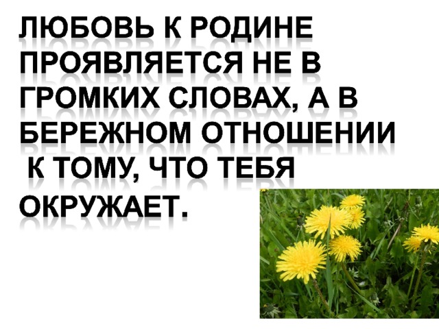 Береги землю родимую как мать любимую презентация 5 класс однкнр береги родимую