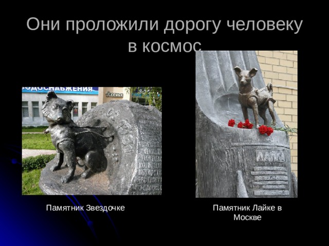 Они проложили дорогу человеку в космос Памятник Звездочке Памятник Лайке в Москве 