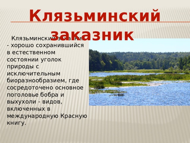 Клязьминский заказник презентация