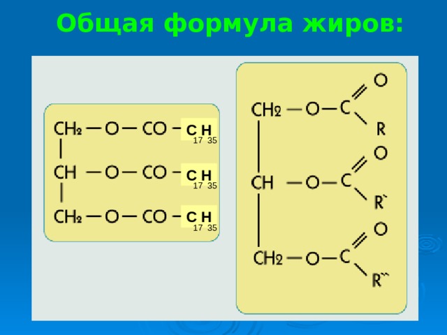 Общее название жиров