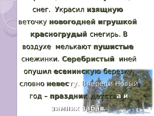 Мороз и солнце! Под ногами скрипит, как песенку поет , снег. Украсил изящную веточку новогодней игрушкой красногрудый снегирь. В воздухе мелькают пушистые снежинки. Серебристый иней опушил есенинскую березку, словно невес ту . Впереди Новый год – праздник детств а и зимних забав .