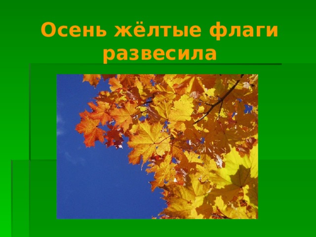 Осень жёлтые флаги развесила   