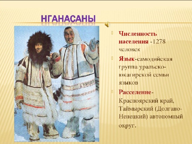 Народы красноярского. Народы Красноярского края нганасаны. Нганасаны традиционные занятия. Костюмы народов севера Красноярского края. Нганасаны языковая семья.