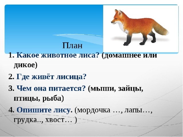 Лисьи норы функциональная грамотность 2 класс презентация