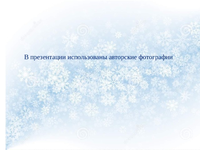 В презентации использованы авторские фотографии 