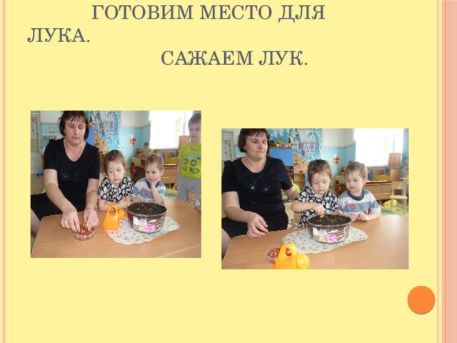  Готовим место для лука.  Сажаем лук. 