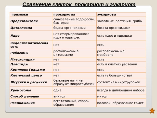 Сравнить строение клеток