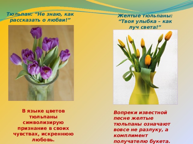 Тюльпаны это символ. Язык цветов тюльпаны. Что означает тюльпан на языке цветов. Жёлтые тюльпаны на языке цветов. Тюльпан значение цветка.