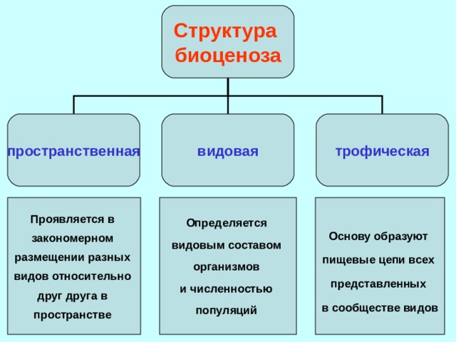 В представленном на рисунке биоценозе присутствует впиши только число трофических уровня