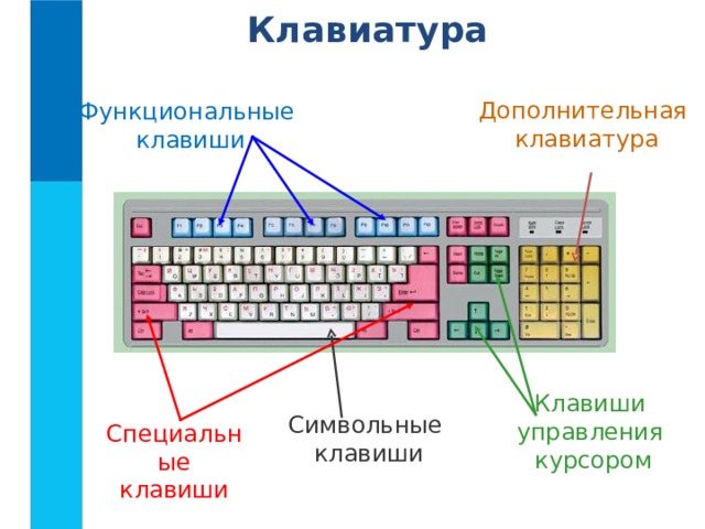 Клавиатура  Дополнительная клавиатура Функциональные  клавиши Клавиши управления  курсором Символьные  клавиши Специальные клавиши